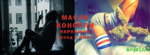 индика Армянск