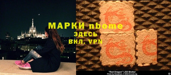 индика Армянск