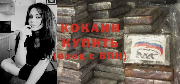 индика Армянск